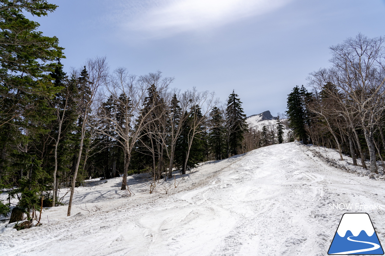 大雪山層雲峡・黒岳ロープウェイスキー場｜どんなに雪解けが早い春でも、北海道には『黒岳』があるという安心感。ありがとう、2023-2024。SNOW Freaks 今季最終レポート！